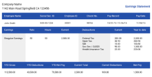 Your Pay stub Sample in black and white