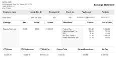 Independent Contractor Pay Stub Template from www.paystubcreator.net