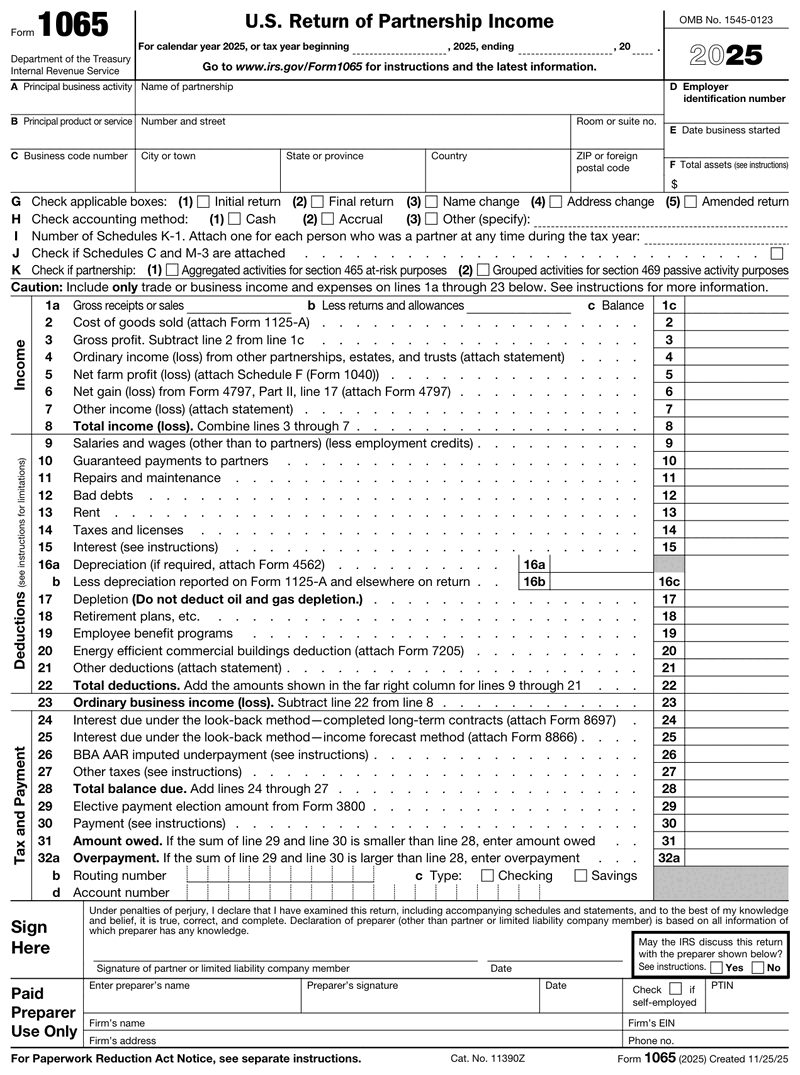 Form 1065 preview