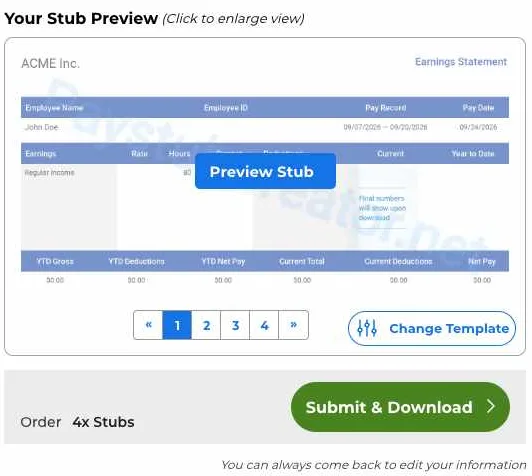 Step 2: check stub preview with federal and state taxes calculated