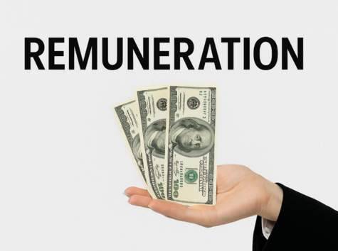 Remuneration Explained: Meaning, Types and Examples