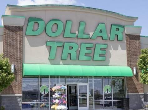 Dollar Tree Check Stubs: How Can I Access My Information Online?
