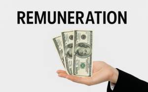 Remuneration Explained: Meaning, Types and Examples