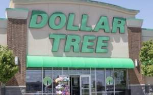 Dollar Tree Check Stubs: How Can I Access My Information Online?
