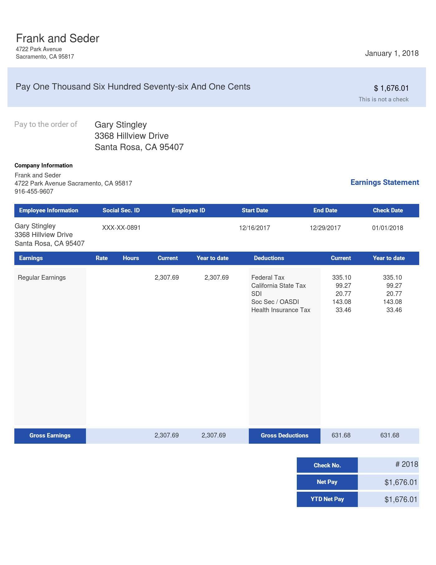 Vertical Blue Pay Stub Sample Template