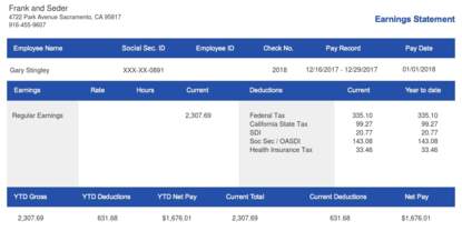 Horizontal Blue Pay Stub Sample Template