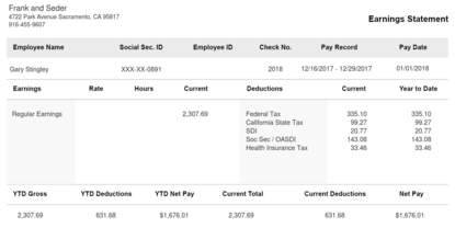 Horizontal Black Pay Stub Sample Template